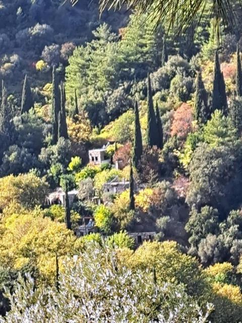 Valeondades Villa Valeontádes Екстериор снимка